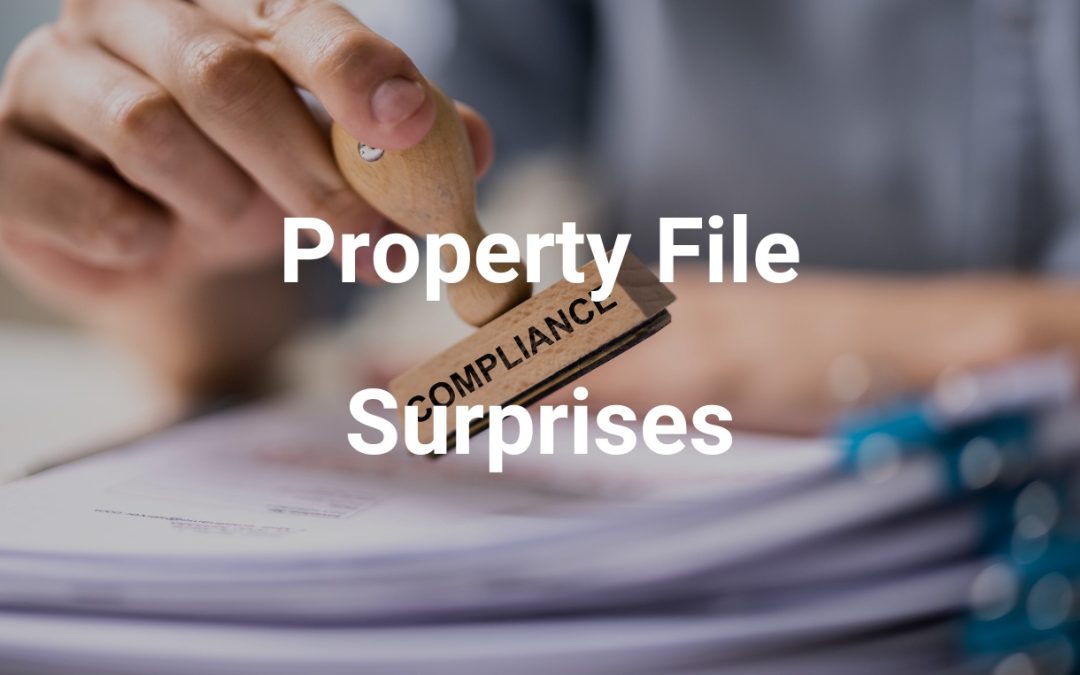 Do not let regulatory surprises impact the sale process and price of your commercial property.